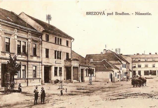 Penzión Tvarožek *** Brezova pod Bradlom Exterior foto